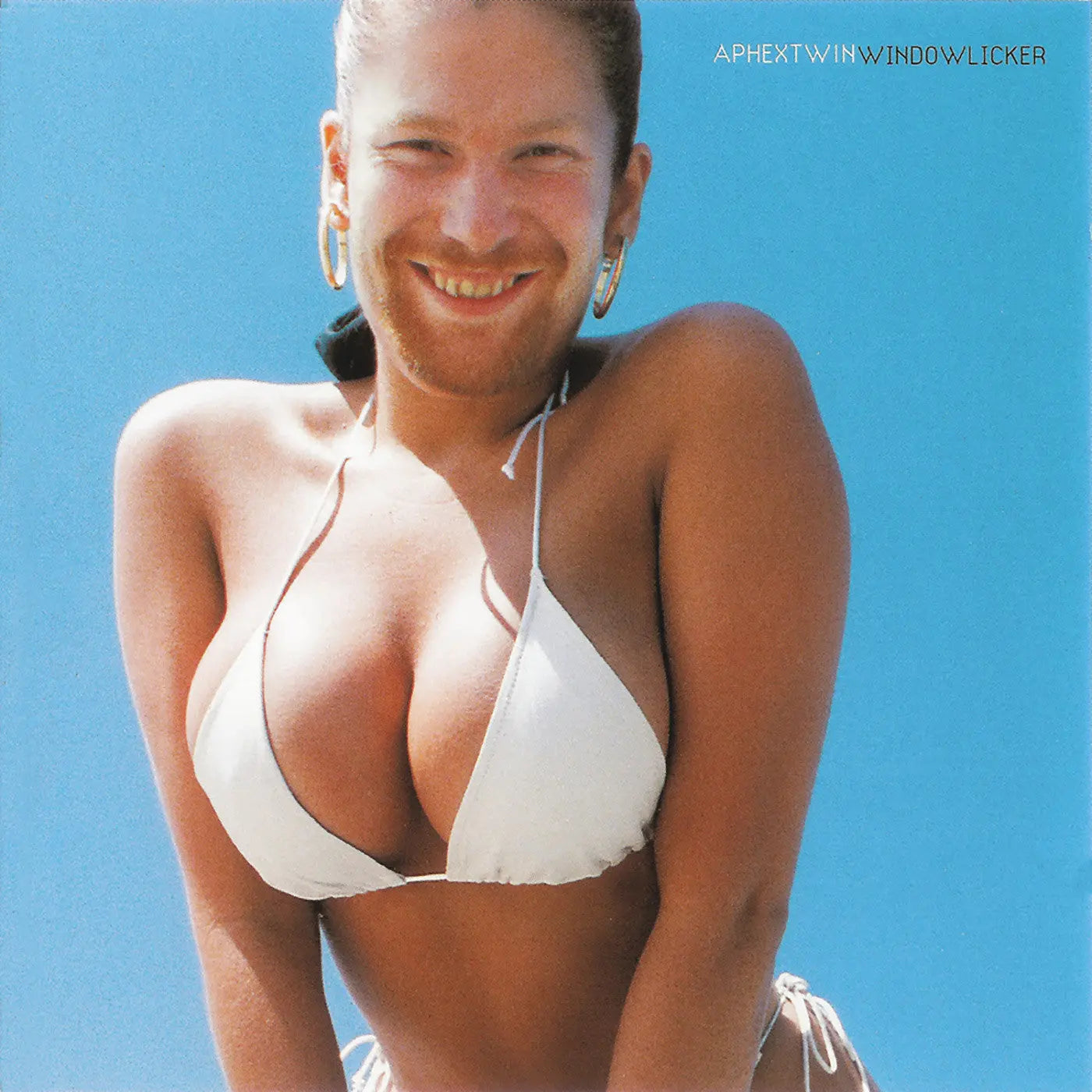 Windowlicker [Vinyl]