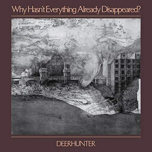 Why Hasn't Everything Already Disappeared [Vinyl LP]
