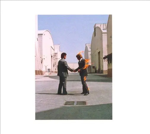 Wish You Were Here [Remastered 180 Gram Vinyl]