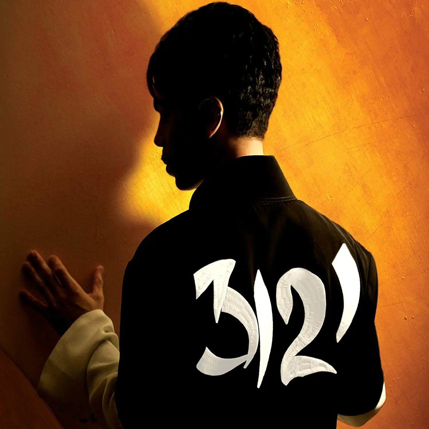 3121 [Purple Vinyl]
