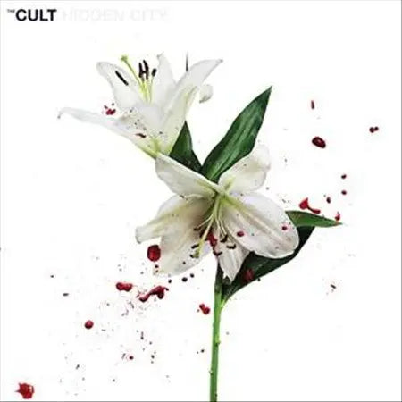 Hidden City (45 RPM) [Vinyl]